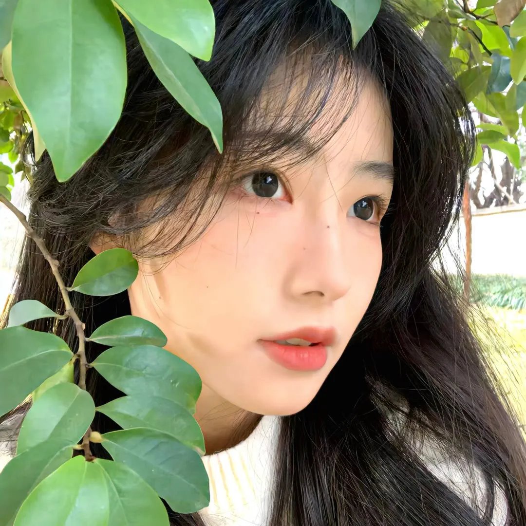 美丽时光
